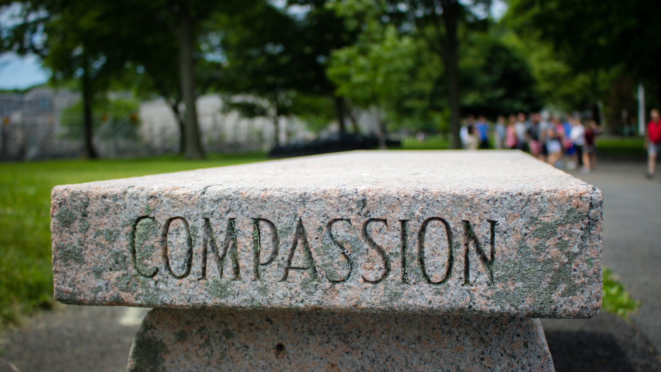 Mercy, compassion, Jesus Christ, Synod, Profession of Faith, Sensus Fidei, Evangelization, Catechism of the Catholic Church